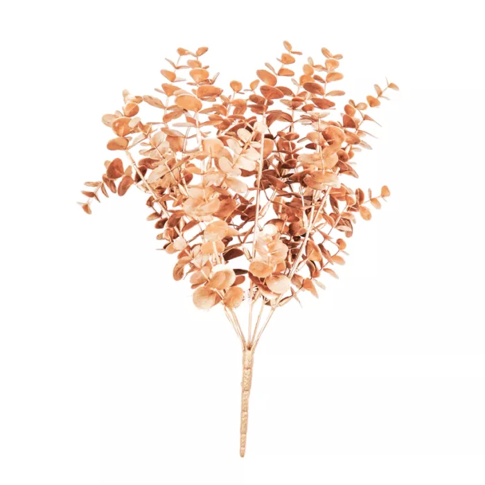 HV Eucalyptus bos